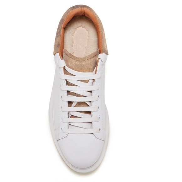 Australia Luxe Collective Shoes - Australia Luxe Leen White/Antique Gold Sneakers with Shearling Lining Sz 9 - NWT